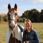 Paardenles in Rijswijk - kleine groepen, rustige omgeving, Ophalen of Verzenden