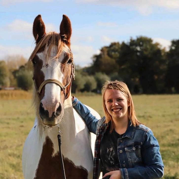 Paardenles in Rijswijk - kleine groepen, rustige omgeving, Dieren en Toebehoren, Paarden en Pony's | Overige Paardenspullen, Ophalen of Verzenden