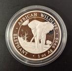 Zilveren Somalië Olifant Munt 2025, Ophalen of Verzenden, Overige landen, Losse munt, Zilver