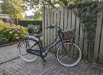 Popal Daily Dutch Prestige N3 Damesfiets 47cm., 47 tot 50 cm, Versnellingen, Ophalen of Verzenden, Zo goed als nieuw