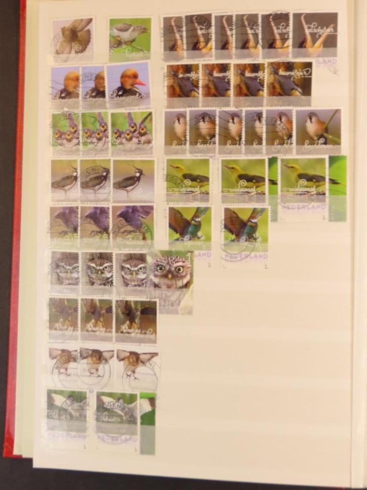 MODERN NEDERLAND: VOGELS/DIEREN gebruikte voorraad (K54), Postzegels en Munten, Postzegels | Volle albums en Verzamelingen, Buitenland