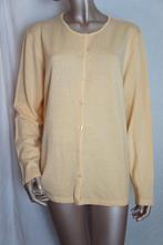 PETER HAHN vest maat 48 PURE VIRGIN LANA, Kleding | Dames, Verzenden, Zo goed als nieuw, Maat 46/48 (XL) of groter, Geel