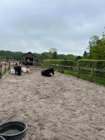 24/7 buiten plek aangeboden  beschikbaar voor biedingen