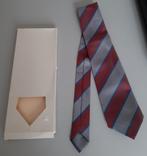 Nieuwe DAF stropdas, Ophalen, Nieuw, DAF, Met patroon