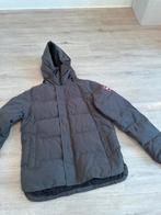 Canada Goose Chateau Parka Heren L Graphite – Origineel, Ophalen, Zo goed als nieuw, Maat 52/54 (L), Grijs