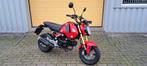 HONDA MSX 125 (bj 2021) Grom, Bedrijf, 125 cc, 11 kW of minder, Naked bike