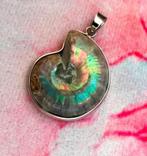 Prachtige grote iriserende Ammoniet Amulet ketting hanger, Verzenden, Zo goed als nieuw, Steen of Mineraal, Met edelsteen