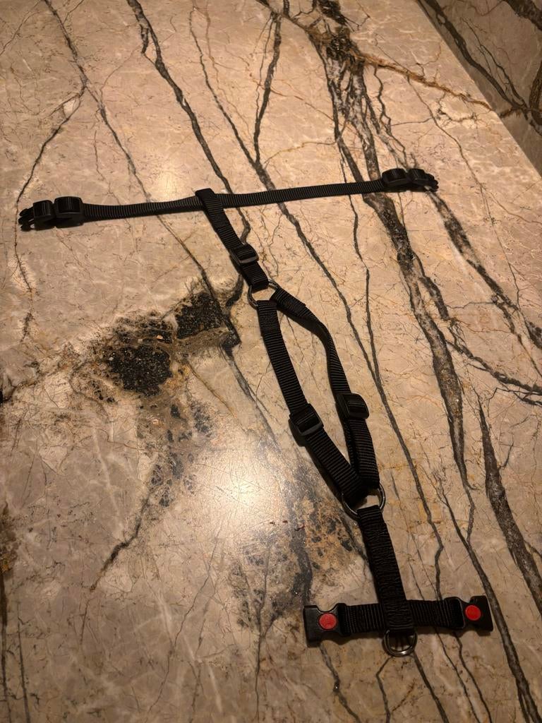 Zwart tuig hond, Dieren en Toebehoren, Ophalen of Verzenden, Zo goed als nieuw