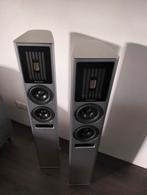 Piega coax 30, Audio, Tv en Foto, Luidsprekers, Zo goed als nieuw, 120 watt of meer, Front, Rear of Stereo speakers, Ophalen