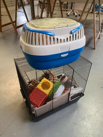 Hamsterkooi beschikbaar voor biedingen