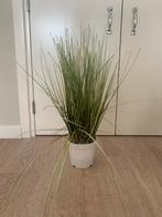 Kunstplanten Set - Siergras, Rozemarijn, Hangplant, Ophalen of Verzenden, Zo goed als nieuw, Binnen