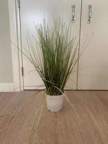 Kunstplanten Set - Siergras, Rozemarijn, Hangplant beschikbaar voor biedingen