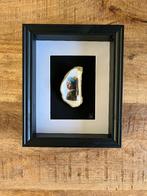 meisje met de parel in oester, Huis en Inrichting, Woonaccessoires | Schilderijen, Tekeningen en Foto's, Minder dan 50 cm, Nieuw