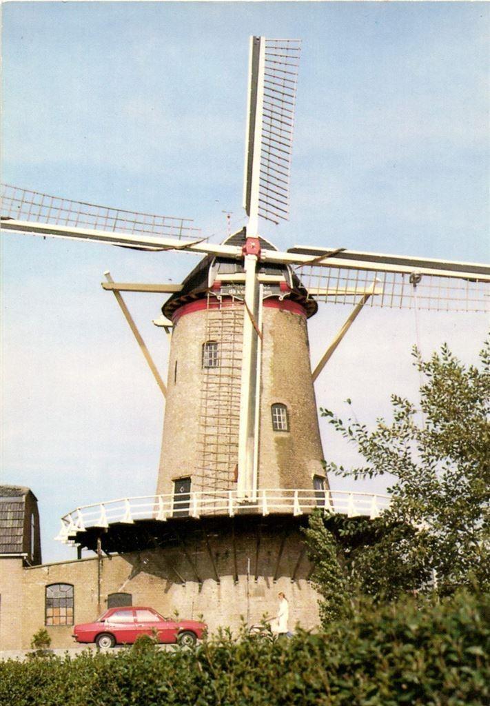 Sommelsdijk, Molen Korenlust - ongelopen, Verzamelen, Ansichtkaarten | Nederland, Ongelopen, Noord-Brabant, Voor 1920, Ophalen of Verzenden