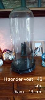 Antieke glazen stolp, Ophalen of Verzenden