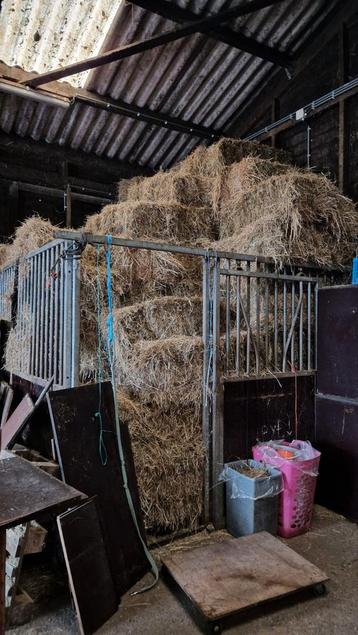 Hooibaaltjes ruim 100 stuks beschikbaar voor biedingen