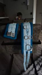 Longeersingel maat shet, Dieren en Toebehoren, Ophalen of Verzenden, Zo goed als nieuw, Overige soorten