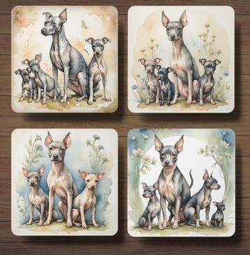 American Hairless Terriër Moeder & pups onderzetters+houder beschikbaar voor biedingen