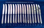 715 Puntfilet 20x Mes € 6 p/s ca 23,5/23,6 cm Gero Roestvrij, Ophalen
