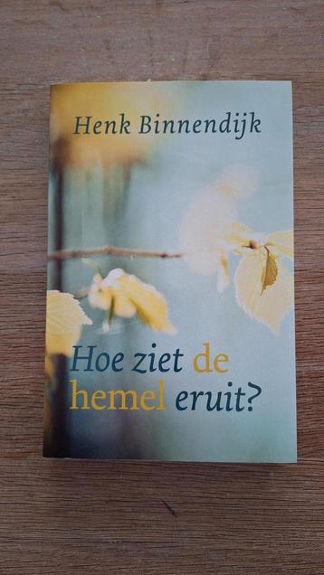 Henk Binnendijk - Hoe ziet de hemel eruit? beschikbaar voor biedingen