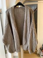 Summum Woman Vest Wolmix Maat L, Ophalen of Verzenden, Zo goed als nieuw, Maat 42/44 (L), Beige