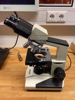 Novex K-Range Microscoop, Ophalen of Verzenden, Gebruikt, 400x tot 1000x, Biologische microscoop