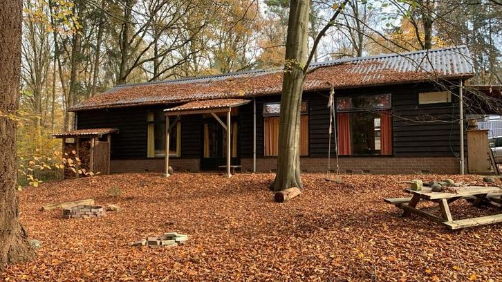 Tijdelijke woonruimte midden in het bos (max. 3 mnd), Huizen en Kamers, Huizen te huur, Utrecht, Vrijstaande woning, Direct bij eigenaar