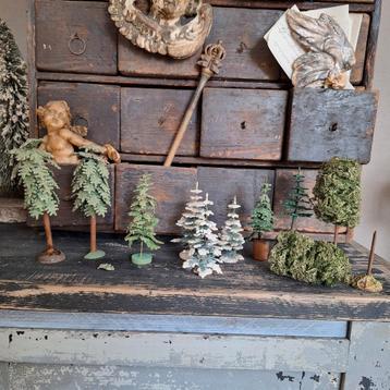 Antieke boompjes verschillende soorten  beschikbaar voor biedingen