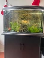 Aquarium, Ophalen of Verzenden, Leeg aquarium