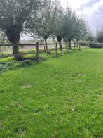 houten omheining, Dieren en Toebehoren, Stalling en Weidegang, Weidegang