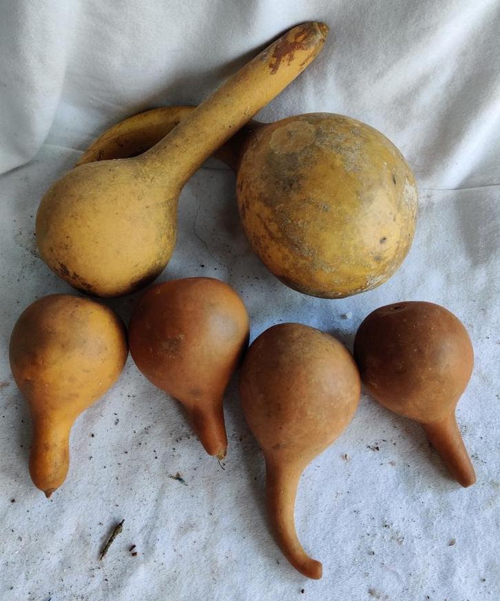 Grote partij groen/decoratie materialen, Huis en Inrichting, Woonaccessoires | Schalen en Manden, Nieuw, Overige vormen, Ophalen of Verzenden