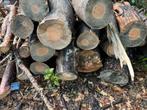 Stookhout / Kachelhout - Dennen, Tuin en Terras, Haardhout, Minder dan 3 m³, Ophalen, Overige houtsoorten, Stammen