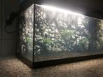 juwel aquarium, Dieren en Toebehoren, Vissen | Aquaria en Toebehoren, Ophalen, Zo goed als nieuw, Leeg aquarium