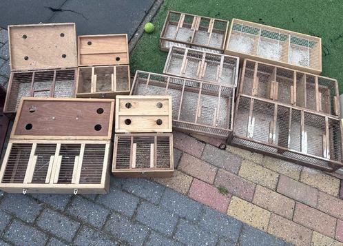 Vervoerskisten en lopers, Dieren en Toebehoren, Vogels | Hokken en Kooien, Nieuw, Vogelkooi, Hout, Ophalen