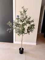 Kunst olijfboom 180cm, Huis en Inrichting, Ophalen, Nieuw