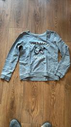 Trui H&M, Ophalen of Verzenden, Nieuw, Meisje, Trui of Vest