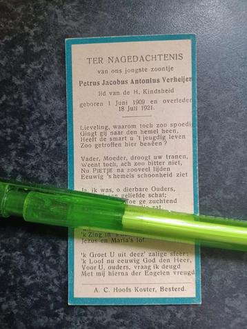Bidprentje Besterd (Tilburg) Petrus Verheijen 1909 1921 beschikbaar voor biedingen
