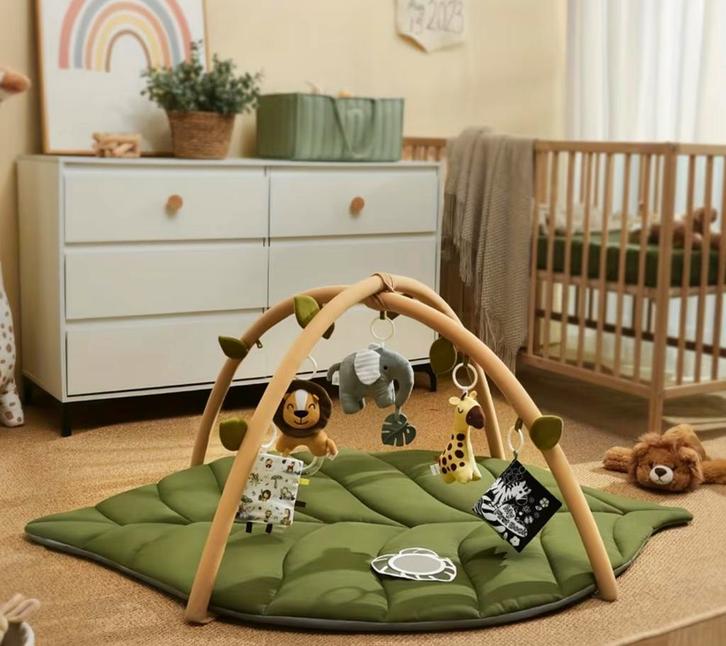 Baby Speel gym / Speelmat, Kinderen en Baby's, Speelgoed | Speelkleden, Zo goed als nieuw, Ophalen of Verzenden