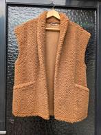 Nieuwe Lizzy Lou teddy bodywarmer/gilet maat S/M, Kleding | Dames, Bodywarmers, Bruin, Nieuw, Maat 36 (S), Ophalen of Verzenden