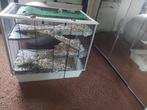Knaagdier kooi, Dieren en Toebehoren, Ophalen, Kooi, 60 tot 90 cm, Minder dan 75 cm