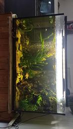 Aquarium, Dieren en Toebehoren, Ophalen, Gebruikt, Terrarium of Paludarium