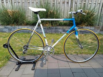 Gazelle Champion Mondial mt . 60 Shimano 600 Arabesque  beschikbaar voor biedingen