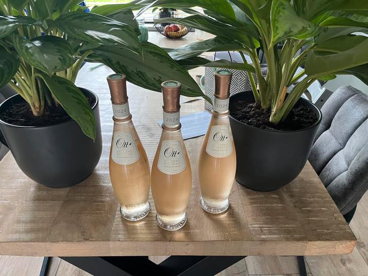 Domaines Ott – Château de Selle 2024 (Cru Classé, Provence), Verzamelen, Wijnen, Nieuw, Roséwijn, Frankrijk, Ophalen