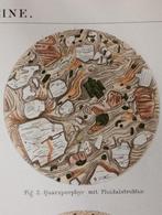 Oude Litho Stenen Kristallen - 1894, Antiek en Kunst, Kunst | Litho's en Zeefdrukken, Ophalen of Verzenden