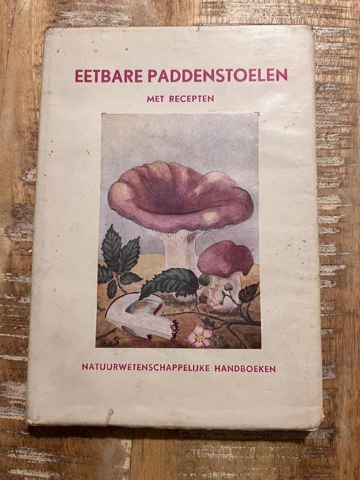 Eetbare paddenstoelen met recepten - J. Blauwkuip, Boeken, Natuur, Gelezen, Bloemen, Planten en Bomen, Ophalen of Verzenden