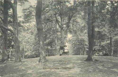 (701-101-027) Dieren Carolinaberg, Verzamelen, Ansichtkaarten | Nederland, Gelderland, Verzenden