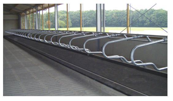 Ligboxafscheidingen, Dieren en Toebehoren, Overige Dieren-accessoires, Nieuw, Verzenden