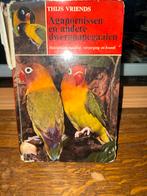 Agapornissen en andere dwergpapegaaien - Thijs Vriends, Boeken, Ophalen of Verzenden, Zo goed als nieuw, Vogels