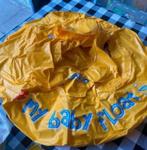 Baby zwembad, Kinderen en Baby's, Babykleding | Baby-zwemkleding, Ophalen of Verzenden, Zo goed als nieuw, Jongetje of Meisje