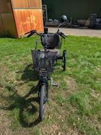 Driewielfiets met trapondersteuning., Fietsen en Brommers, Ophalen, Zo goed als nieuw, PF Mobility